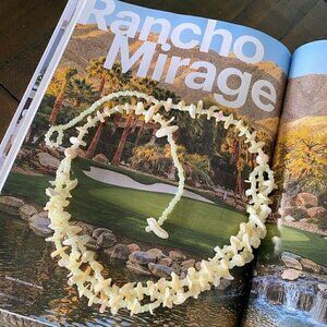 Vintage Mother of Pearl Chip and Beaded Necklace